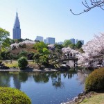 a_Shinjuku-Gyoen-National-Garden-a